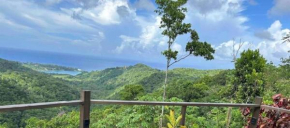 Modern Paradise Stylish Stay with Waterfall & Garden Views
